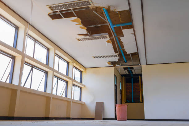 Best Water damage cleanup near me  in Henderson, NV