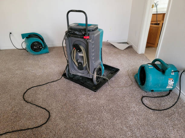 Professional Water damage restoration in NV