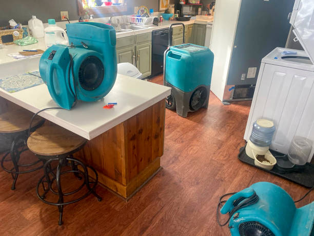 Best Fire Damage Restoration  in Henderson, NV