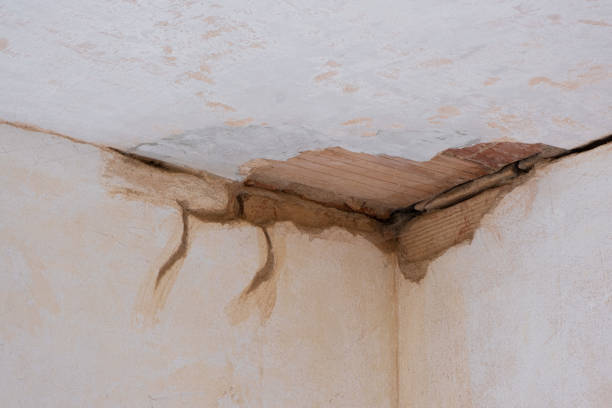 Best 24/7 water damage repair  in Henderson, NV