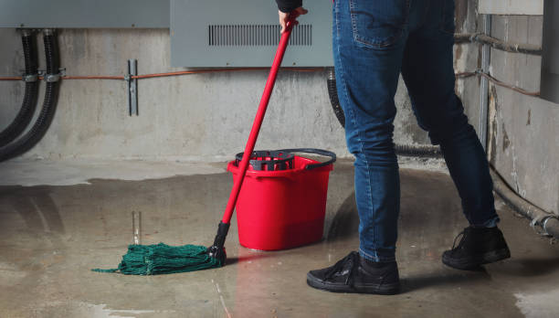 Best Residential water damage restoration  in Henderson, NV