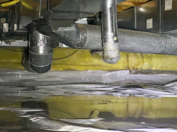 Best 24-hour water damage restoration  in Henderson, NV