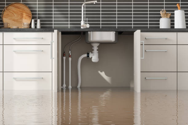 Best Carpet water damage restoration  in Henderson, NV